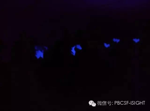 颜射高级脸